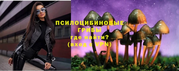 a pvp Абаза