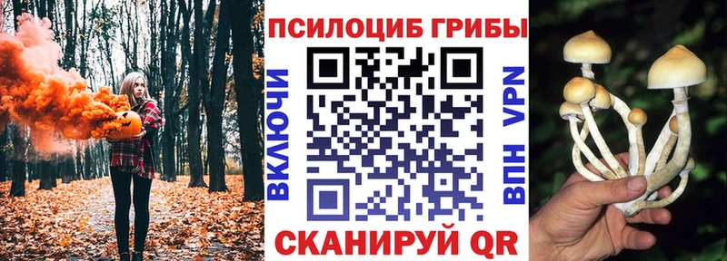 Галлюциногенные грибы Cubensis Тарко-Сале